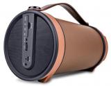 IBall Music Barrel BT31 Re Defining Portable Speaker With FM Radio