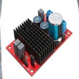 New Arrival Hot Selling DC 12V 24V TPA3116 Mono Channel Digital Power Audio Amplifier Board BTL Out 100W