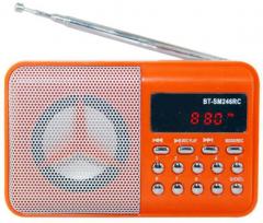 Yuvan BIT SM 246 Recording USB/ SD With FM Radio Players