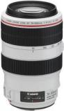 Canon EF 70 300 Mm F/4 5.6L IS USM Lens