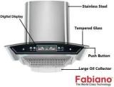 Fabiano NERO SS 60 Cm Wall Mounted Chimney