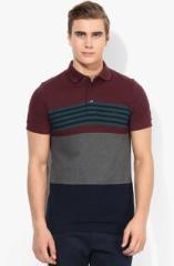 French Connection Multicoloured Regular Fit Polo T Shirt men