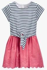 Next Navy/Pink Stripe Dress girls