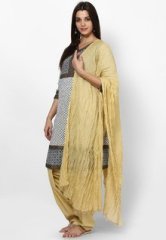 Stylenmart Beige Bottom And Dupatta women