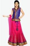 Aarika Pink Lehenga Choli Boys