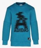 Adidas Ltr Sweat Training Aqua Blue Sweat Shirt Boys