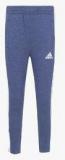 Adidas Training Blue Track Pants Boys