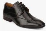 Alberto Torresi Black Derby Brogue Formal Shoes men