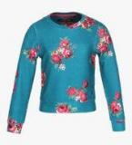 Allen Solly Junior Blue Sweatshirt Girls