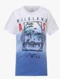 Allen Solly Junior Light Blue T Shirt Boys