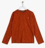 Allen Solly Junior Rust T Shirt Boys