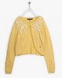 Allen Solly Junior Yellow Cardigan Girls