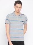 American Crew Grey Striped Polo Collar T Shirt Men