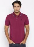 Arrow Sport Burgundy Solid Polo Collar Tshirt Men