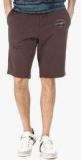 Basics Brown Solid Shorts Men