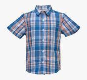 Budding Bees Blue Casual Shirt Boys