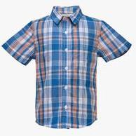 Budding Bees Blue Casual Shirt boys