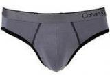 Calvin Klein Underwear Grey Briefs Men