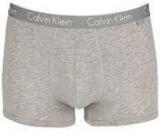 Calvin Klein Underwear Grey Trunk Men