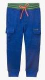 Cherry Crumble Blue Slim Fit Track Bottom Boys