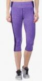 Chkokko Purple Solid Capri Women