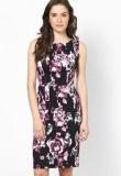 Dorothy Perkins Black Rose Print Pencil Dress Women