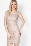 Dorothy Perkins Champagne Lace Pencil Dress Women