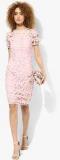 Dorothy Perkins Heavy Lace Pencil Dress Women