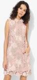 Dorothy Perkins Lace Collar Shift Dress Women