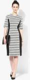 Dorothy Perkins Mono Side Panel Bodycon Women