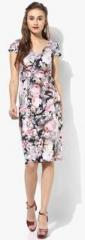 Dorothy Perkins Multicoloured Printed Bodycon Dress women