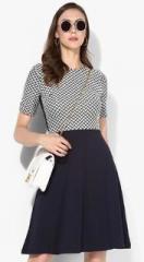 Dorothy Perkins Navy Blue Coloured Self Pattern Skater Dress women