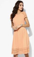 Dorothy Perkins Orange Solid Lace Fit And Flare Dress women