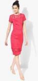 Dorothy Perkins Pink Daisy Lace Pencil Dress Women