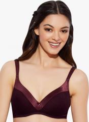 Enamor Maroon Solid Padded Non Wired T Shirt Bra women