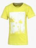 Gini & Jony Lemon T Shirt boys