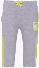 Greenwich Grey Melange Straight Fit Track Bottom boys