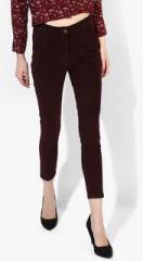 Honey By Pantaloons Wine Solid Slim Fit Chinos women