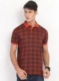 Indian Terrain Brown Checked Polo Collar T Shirt Men