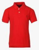 Indian Terrain Red Polo Shirt boys