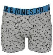 Jack & Jones Grey Trunk Men