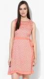 Jc Collection Peach Printed Skater Dress women