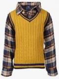 Lilliput Mustard Yellow Sweater Boys