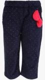 Little Kangaroos Navy Blue Trouser girls