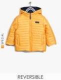 Losan Mustard Yellow & Navy Blue Reversible Jacket Boys