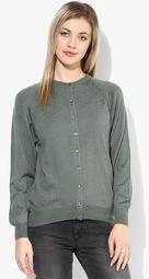 Monte Carlo Olive Solid Sweater Women