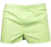 Mosmann Solid Green Boxers Men