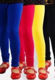 Naughty Ninos Pack Of 4 Assorted Legging girls