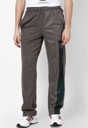 Nba Boston Celtics Grey Printed Track Pant Men