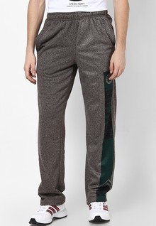 Nba Boston Celtics Grey Printed Track Pant men